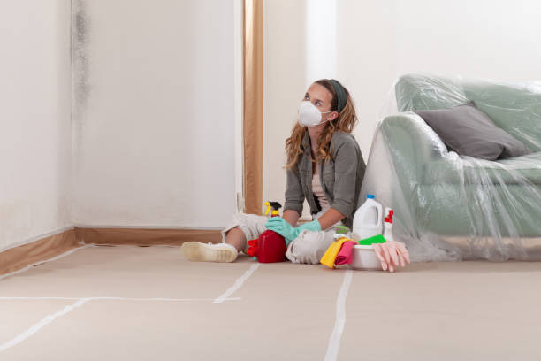 Reliable Mold Cleanup contractor in Bellwood, VA by WQB Mold Removal
